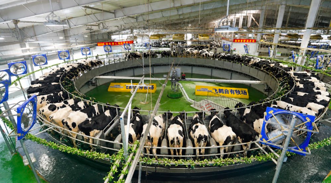 Panduan Lengkap Memilih Susu Formula yang Berkualitas