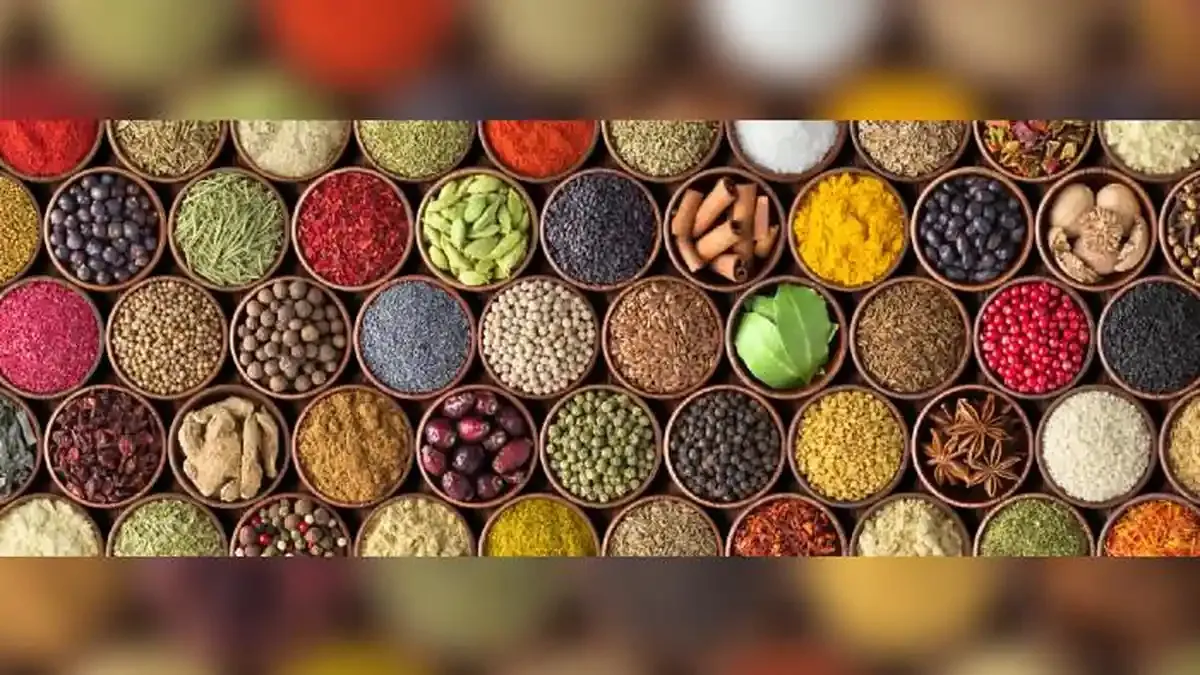 Dari Tempoyak hingga Tauco: Fermentasi Tradisional Jadi Bintang Estetika di Piring Modern