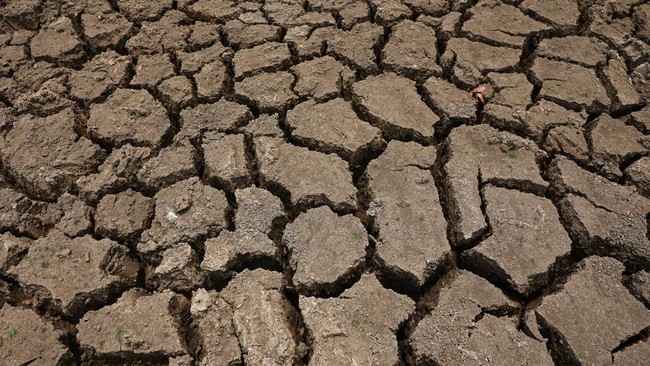 Ketika Sungai Raksasa Mengering: Logistik dan Hidup Warga Terguncang