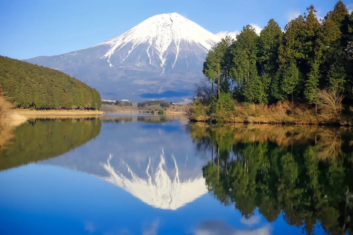 Panduan Lengkap Liburan Musim Gugur di Jepang: Waktu Terbaik, Destinasi Tersembunyi, dan Tips