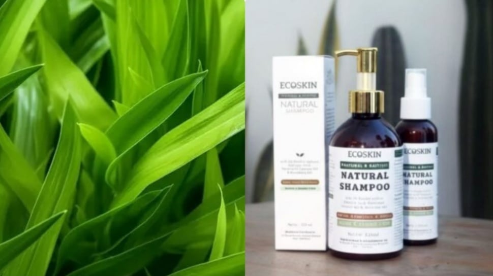 Dari Kulit Kakao hingga Daun Pandan: Revolusi Body Care Alami dari Kampus