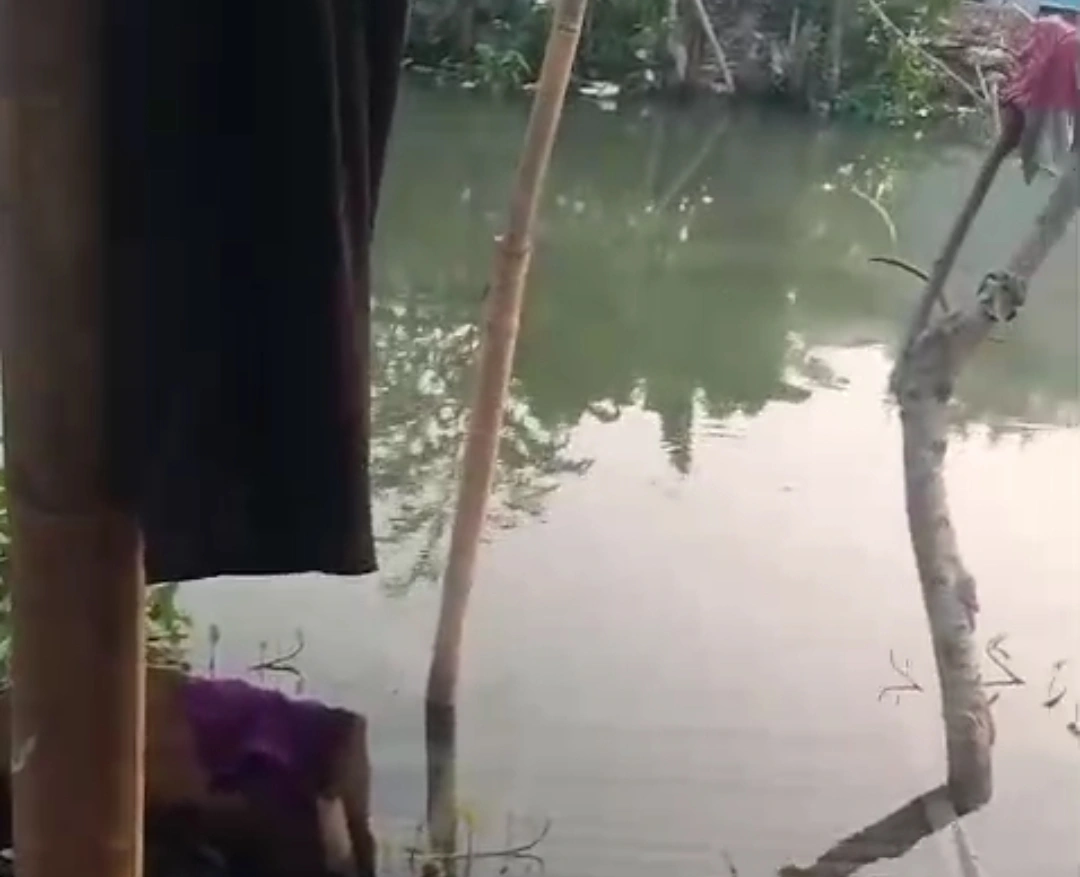 Pencemaran Limbah B3 dan Krisis Kompensasi: Bekasi di Ujung Tanduk
