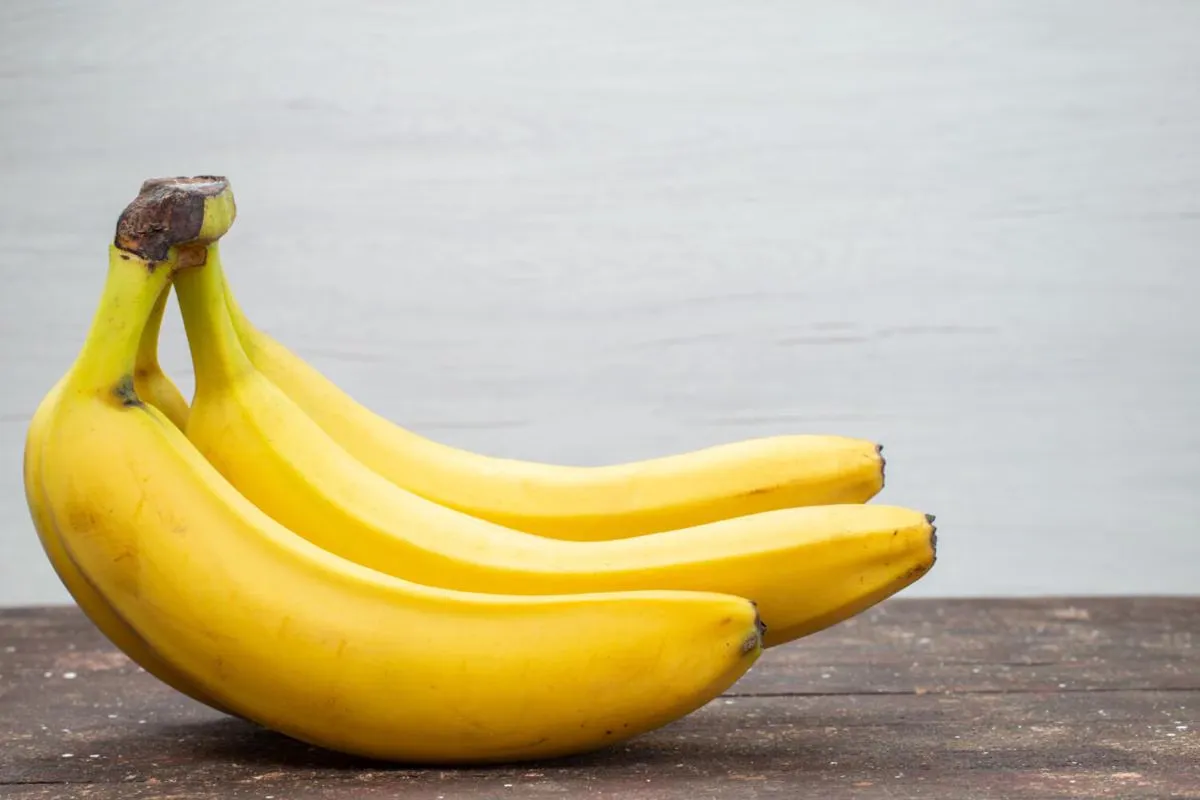 Panduan Lengkap Makanan Aman saat Hamil