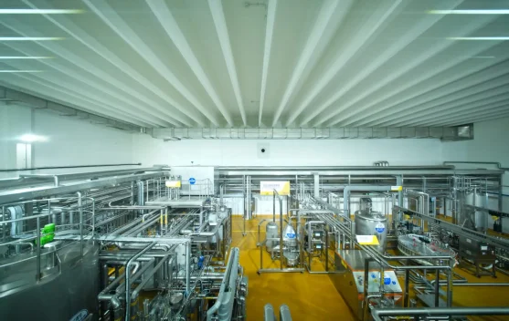 Lebih Penting dari Kandungan: Panduan Memilih Susu Formula dari Sumber hingga Proses Produksi