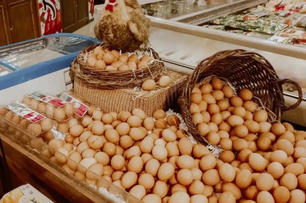 Panduan Memilih dan Menyimpan Telur yang Aman di Rumah