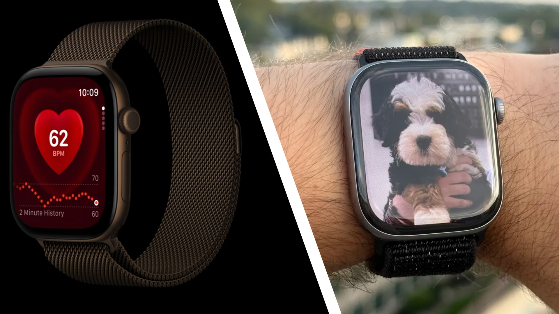 Fitur Readiness Apple Watch vs Garmin, Fitbit, dan Whoop