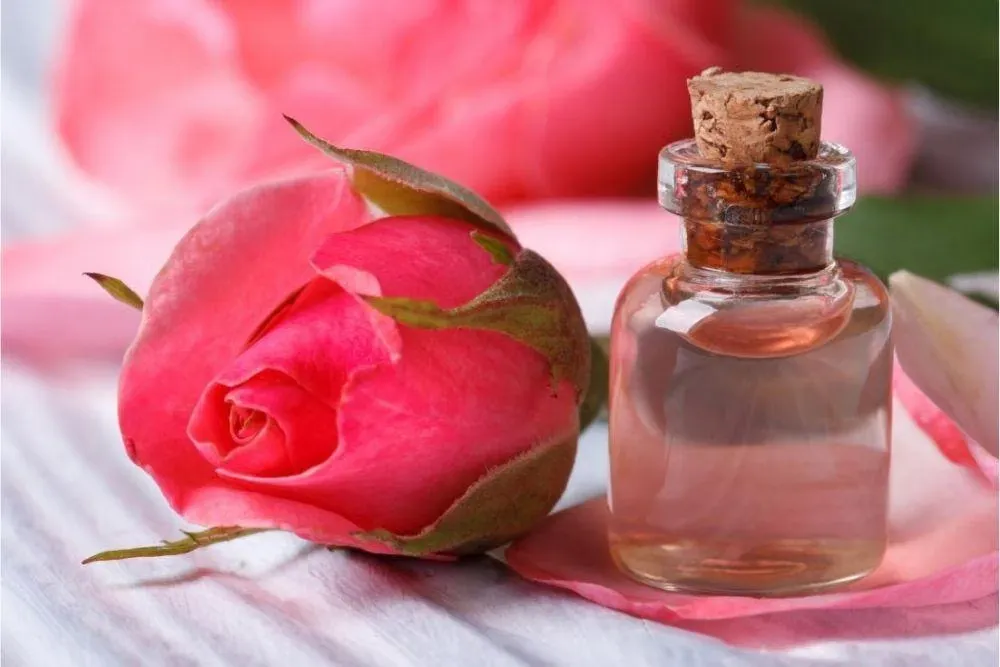 Panduan Lengkap Menggunakan Air Mawar dalam Rutinitas Skincare