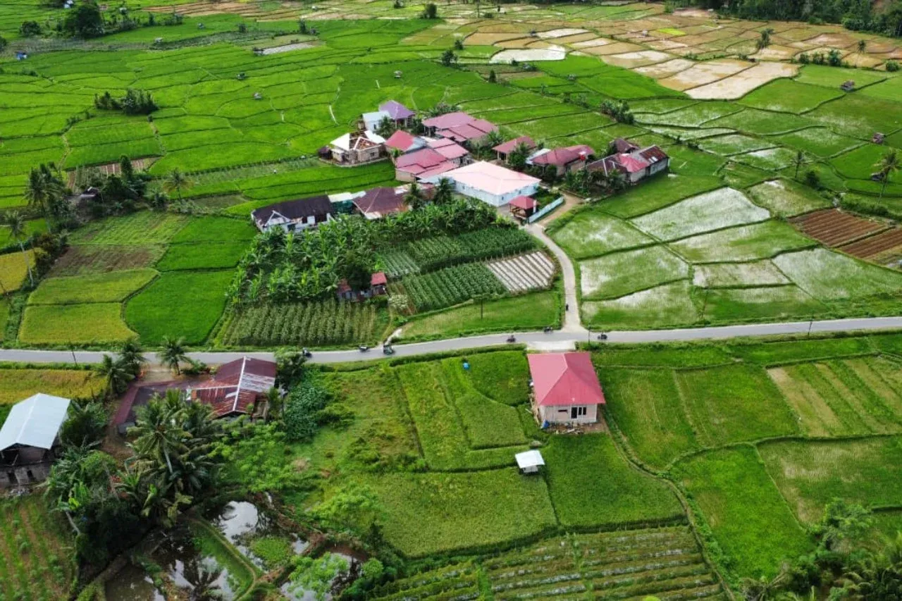 Strategi Daerah Dongkrak Pendapatan Asli: Dari Parkir ke Sektor Lokal