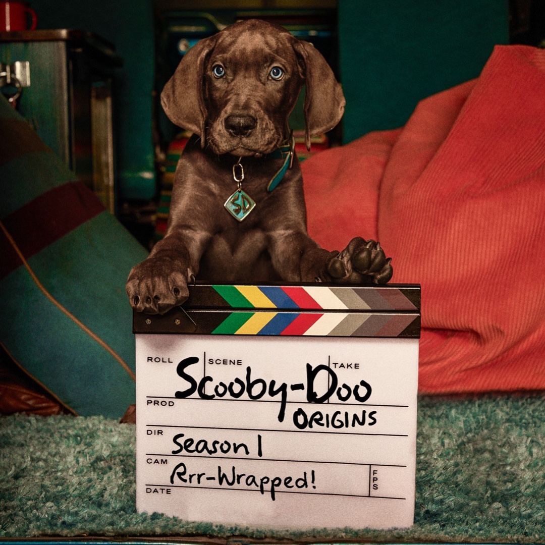 Scooby-Doo: Origins Menandai Era Baru Live Action Mystery Inc