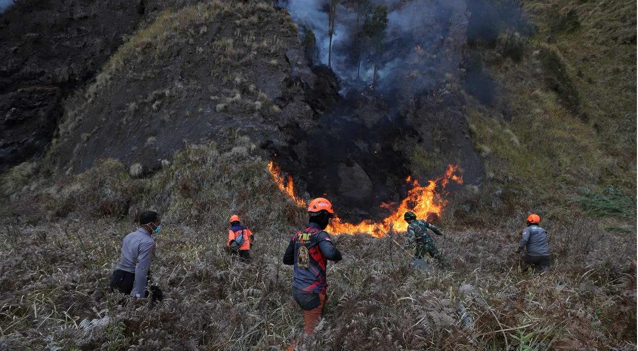 Kebakaran Berulang Ungkap Lemahnya Pengawasan dan Koordinasi Hutan
