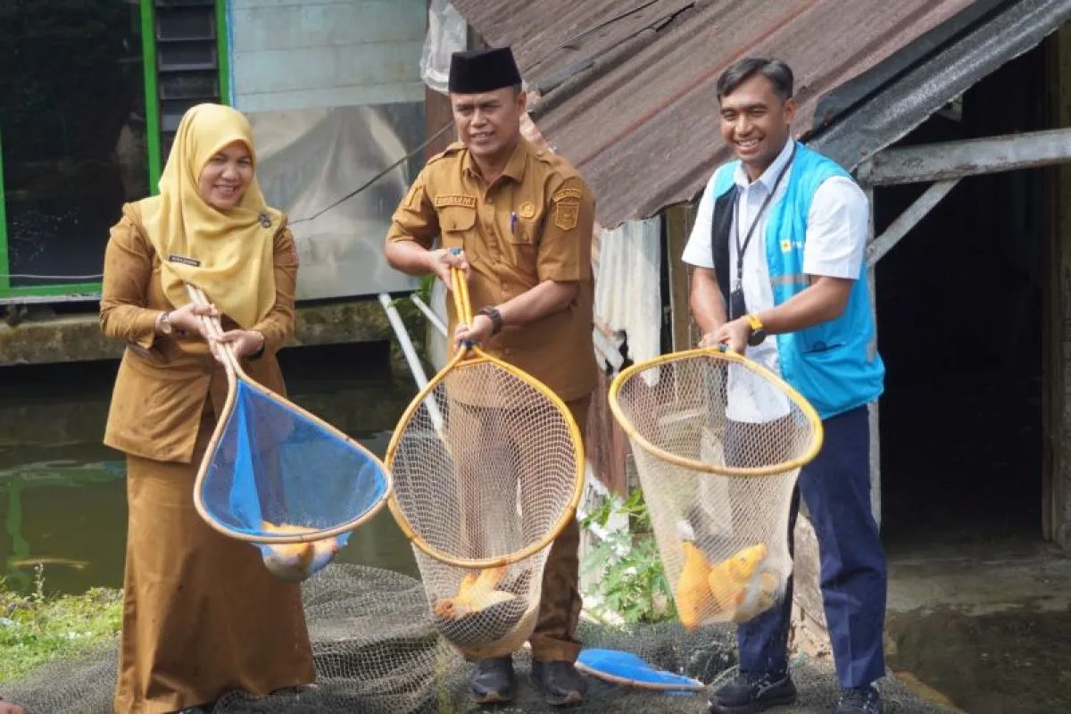 PLN Perkuat Budidaya Ikan Pesisir Lewat Program TJSL