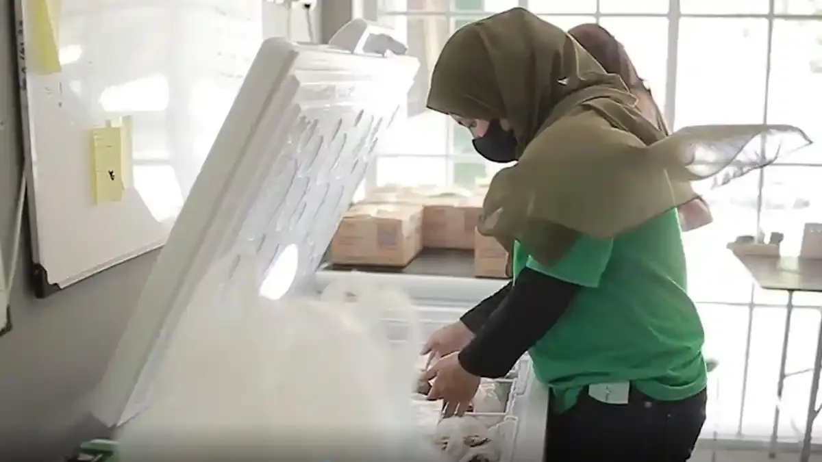 Kesalahan Menyimpan Makanan yang Bikin Cepat Basi