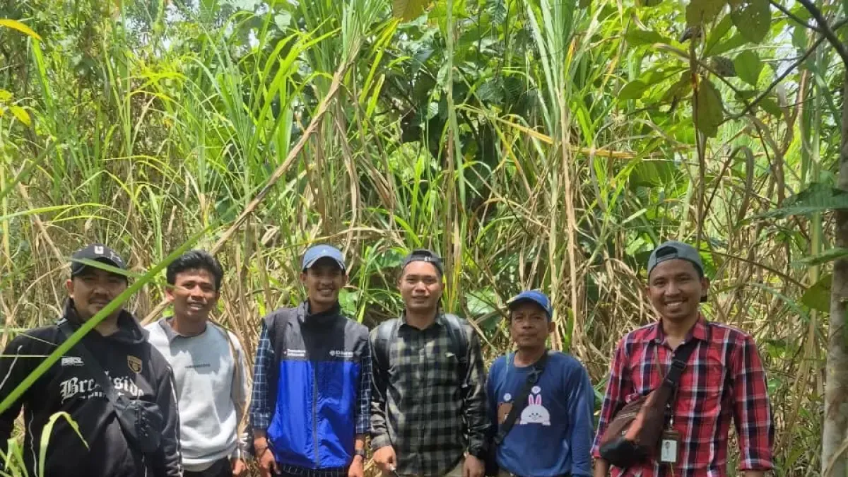 PLN Percepat Jaringan Transmisi Sulawesi Lewat Strategi Lahan dan Perizinan