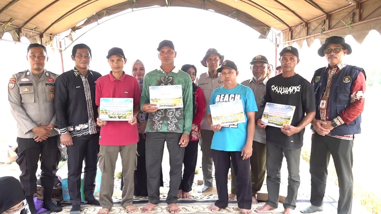 Tabalong Percepat Modernisasi Pertanian Lewat Strategi Dua Arah
