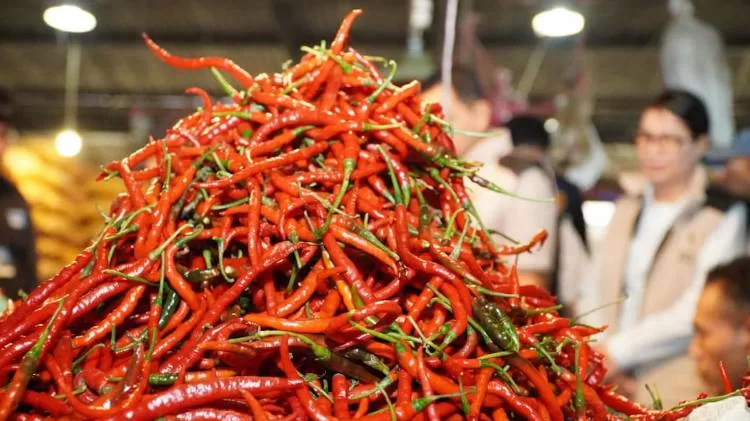 Cabai Beku Jogja Kuasai Pasar Jepang Lewat Diaspora