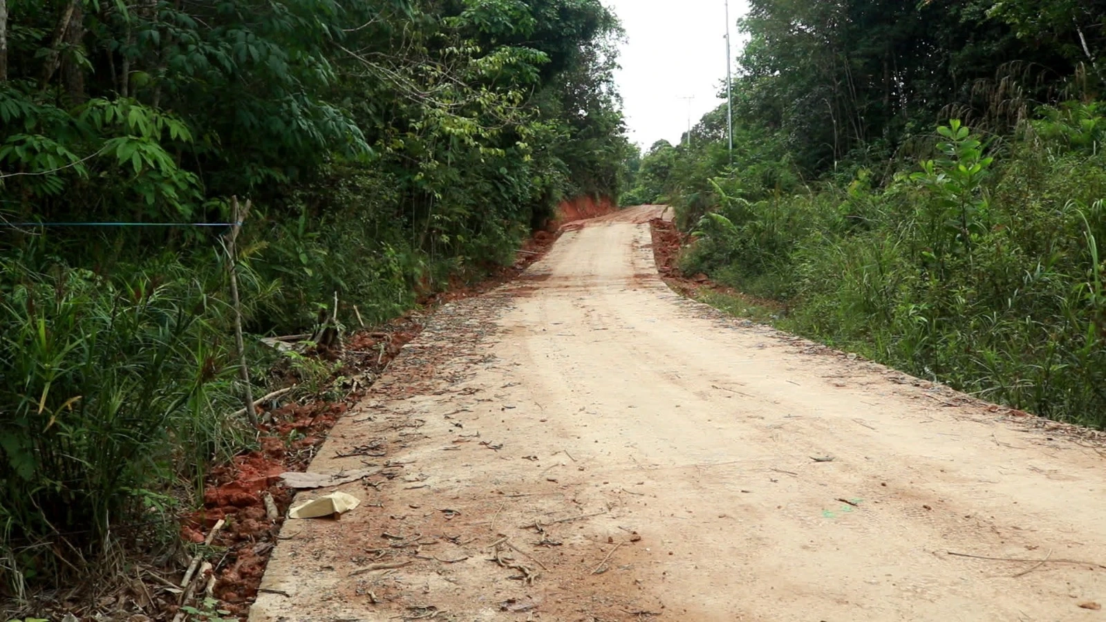 Tabalong Perkuat Jalan Produksi Perkebunan dan Konsolidasi Dinas untuk Tumbuhkan Ekonomi Lokal