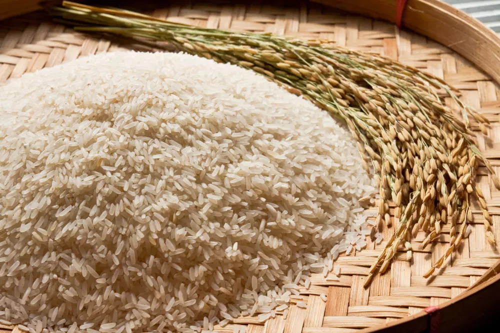 Cara Menyimpan Nasi Sisa Agar Tetap Aman dan Tidak Cepat Basi