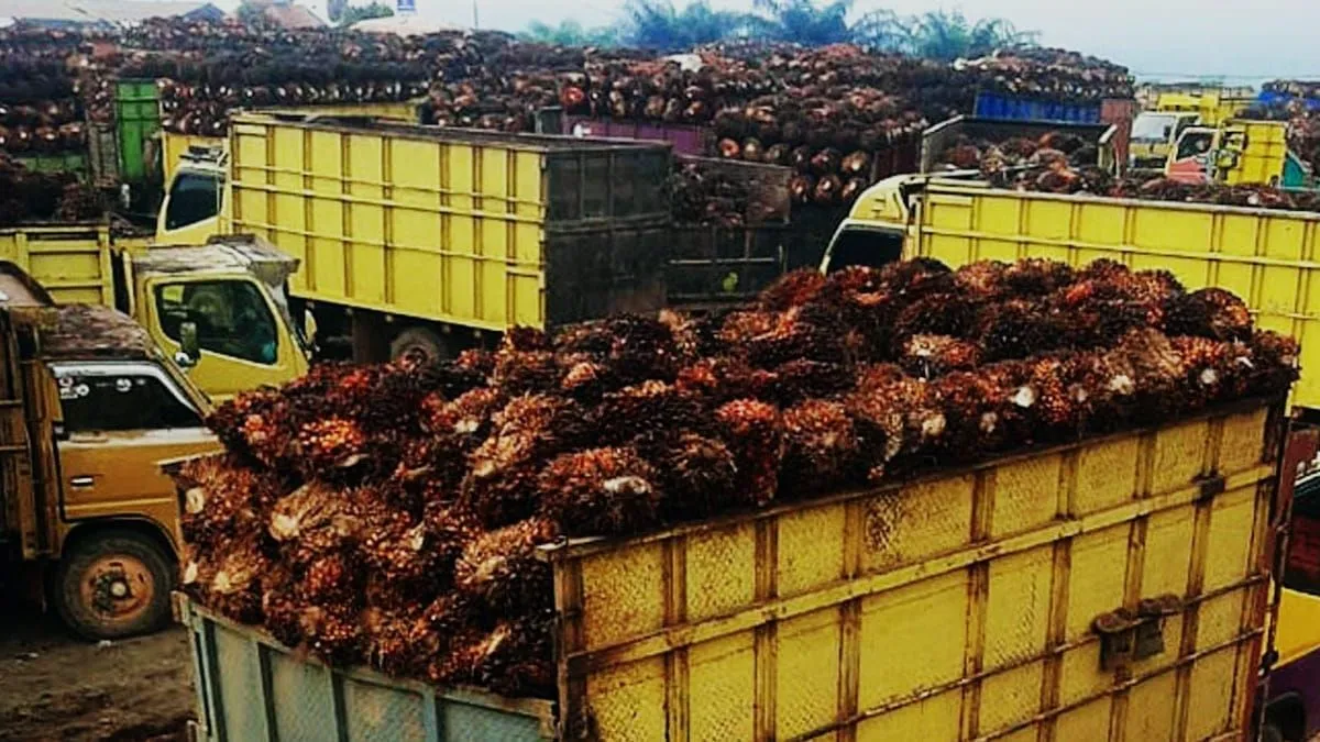 Ekspor CPO Tumbuh 5,49 Persen: Saatnya Hilirisasi Minyak Sawit Naik Kelas