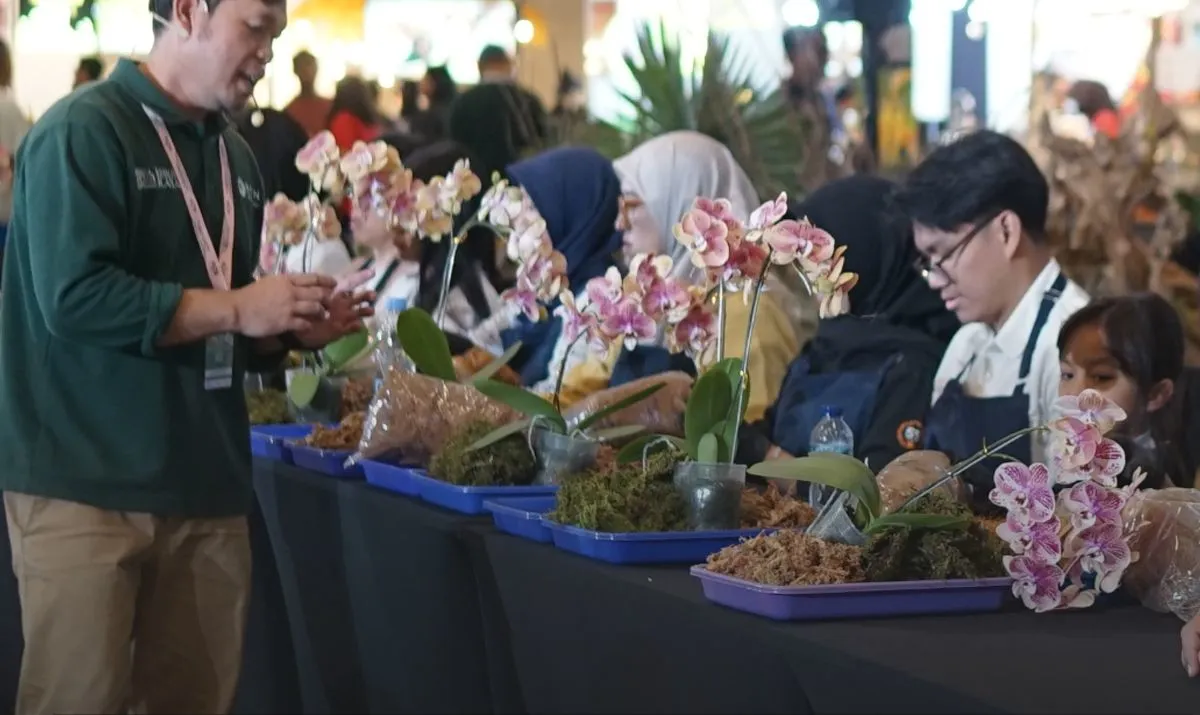 Dari Terrarium hingga Anggrek Premium: Tanaman Hias sebagai Pernyataan Gaya Hidup Modern