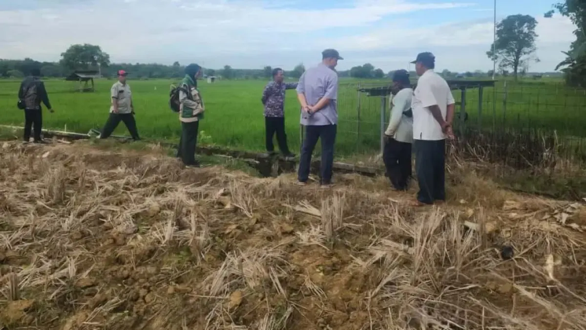 Pompa Surya Revolusioner Bantu Petani Lahan Kering Capai Panen Tiga Kali Setahun