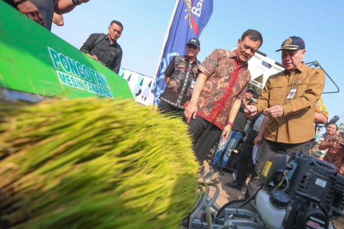 50 Ribu Hektare Sawah Kekeringan: Mampukah Target Beras Terjaga?
