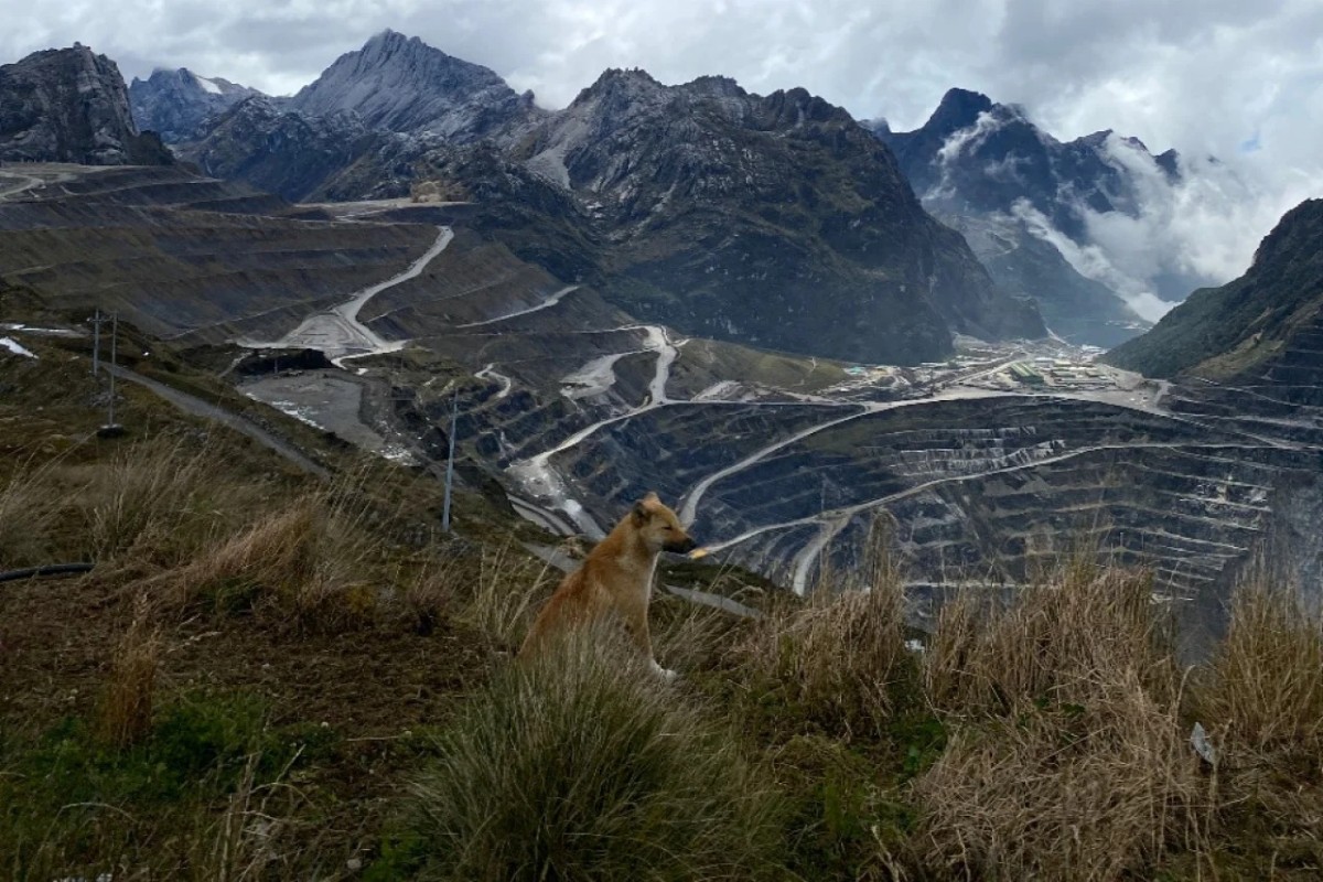 Freeport Dobel Investasi: Grasberg Naik Produksi, Kucing Liar Dikejar 2029