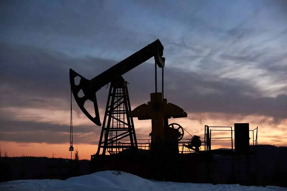 Pertamina Ekspansi Investasi Migas ke Guyana dan Suriname