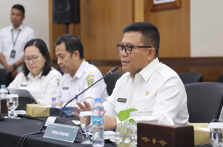 Tata Ruang dan Perizinan Jadi Senjata Daerah Tarik Investasi