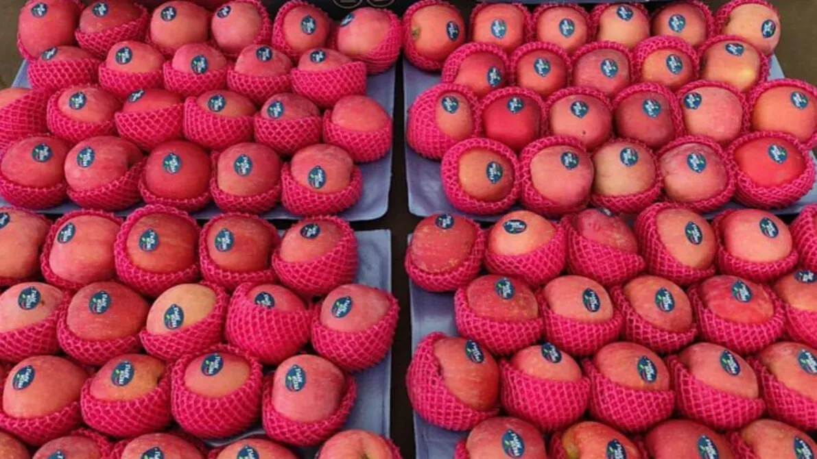 Gelombang Impor Tiongkok Kuasai Pasar: Ancaman dan Peluang bagi Produsen Lokal