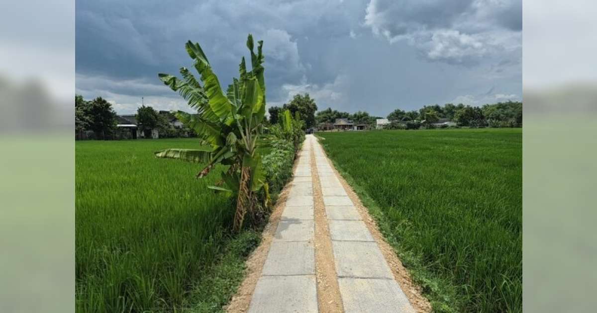 Jalan Usaha Tani dan Akses Nelayan: Urat Nadi Ekonomi Desa