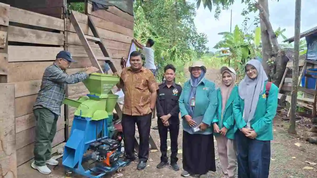 Dari Daun Ficus hingga Limbah Ikan: Mengubah Bahan Lokal Jadi Pakan Ternak Alternatif