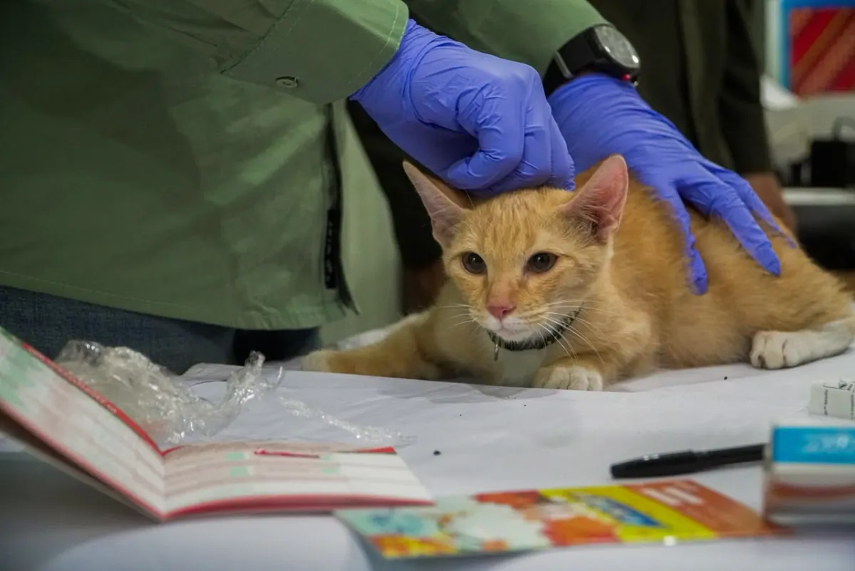 Program Vaksinasi Rabies Gratis Hadir di Berbagai Daerah