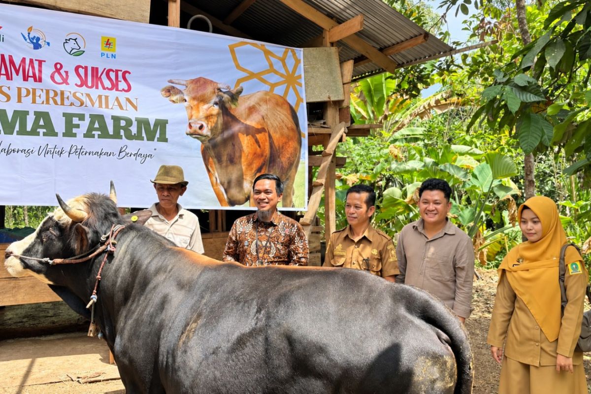 Program CSR PLN Mengubah Sampah Menjadi Aset Ekonomi Komunitas