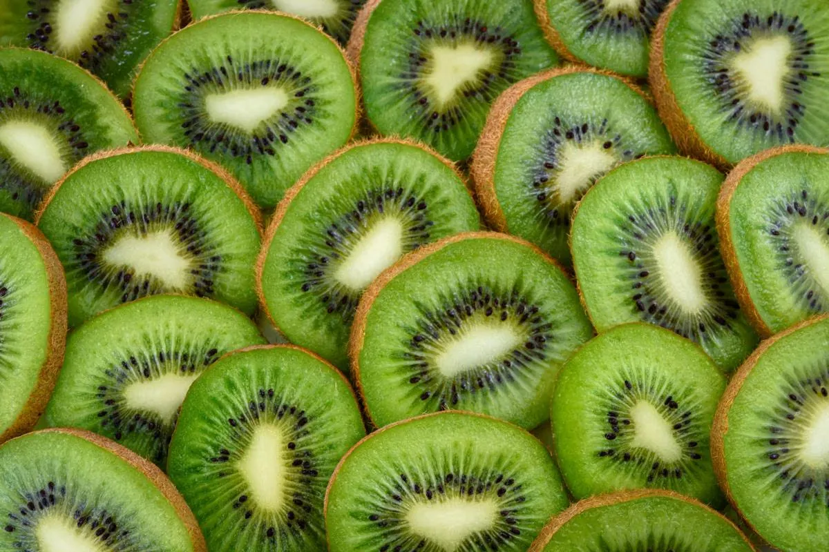Daun Kelor, Jeruk, dan Kiwi: Superfood Wajib untuk Nutrisi Kehamilan Alami