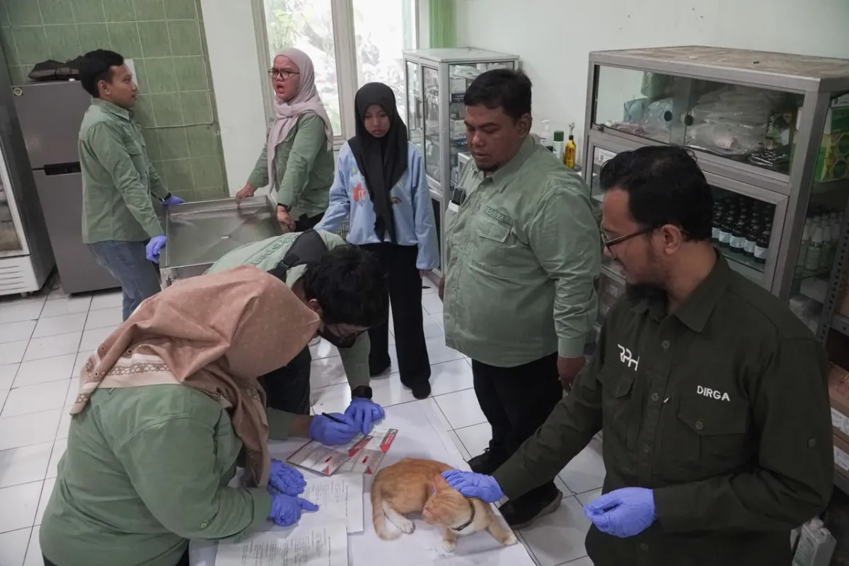 Program Vaksinasi Rabies Gratis Hadir di Berbagai Daerah