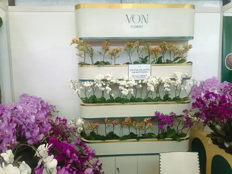FLOII Expo Ubah Tanaman Hias Jadi Pusat Botanical Decor Modern