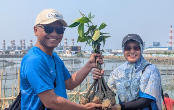 PLN Kembangkan Ekowisata Mangrove, Lingkungan Lestari Ekonomi Tumbuh