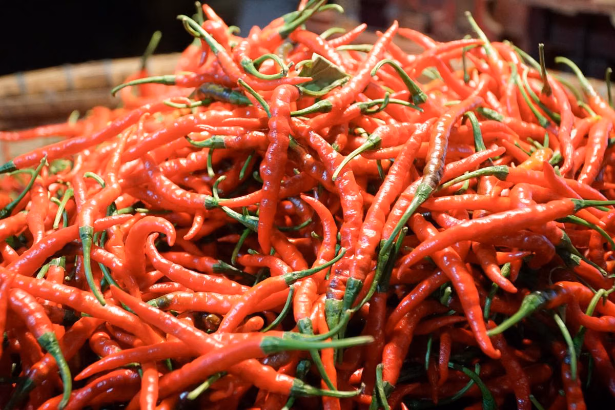 Harga Minyak Goreng dan Cabai Naik: Strategi Hemat di Dapur