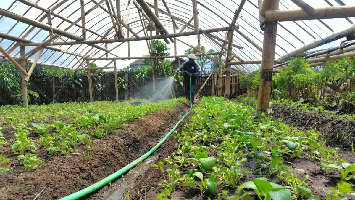 Generasi Muda Mengganti Cangkul dengan Sistem Irigasi Pintar