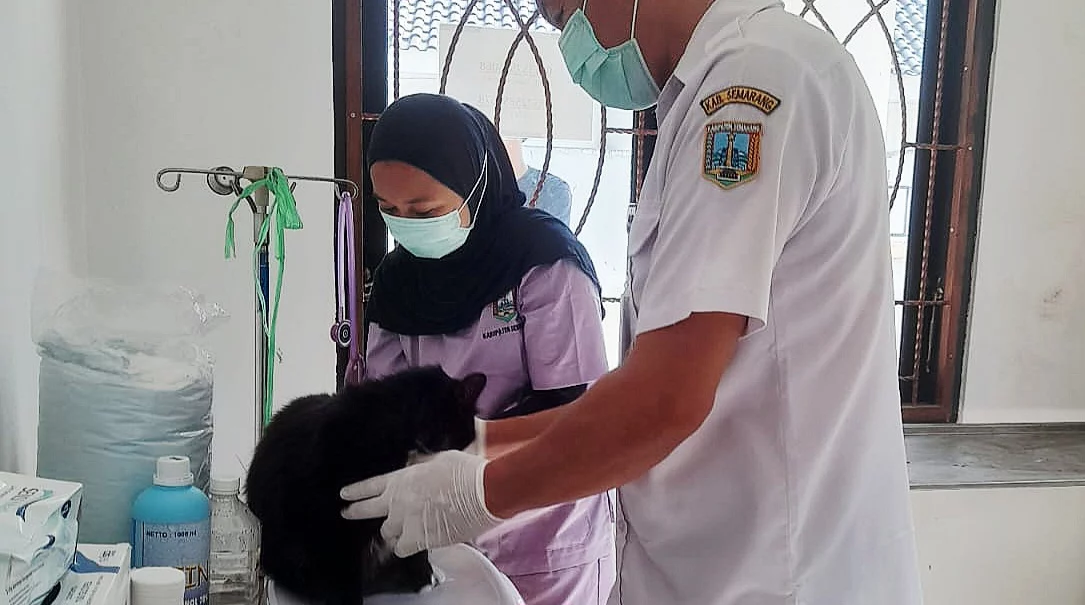 Program Deteksi Dini dan Vaksinasi Gratis yang Sering Diabaikan