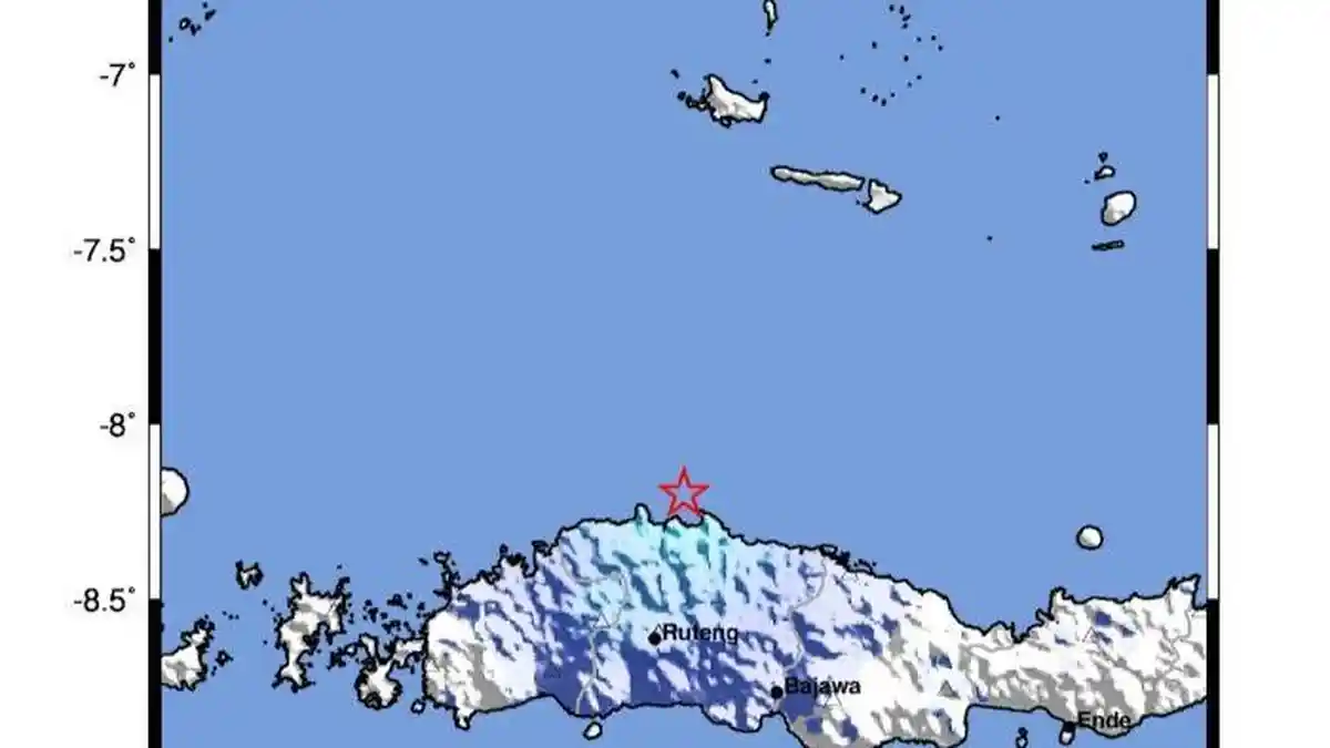 Gempa Susulan Flores Tembus 17.000 Kali: Apa Artinya Bagi Warga