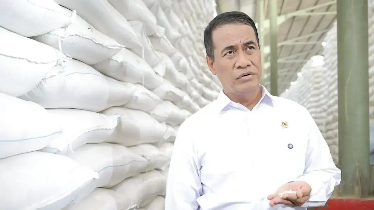 25 Merek Beras Fortifikasi Bermasalah: Cara Memverifikasi Kualitas dan Kandungan Gizi Sebelum Membeli