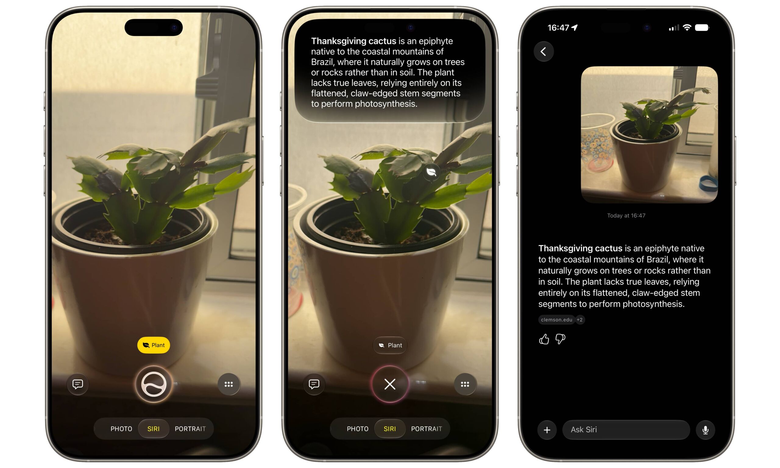 Panduan Lengkap iOS 27: Siri AI, Liquid Glass, dan Ekosistem iPhone
