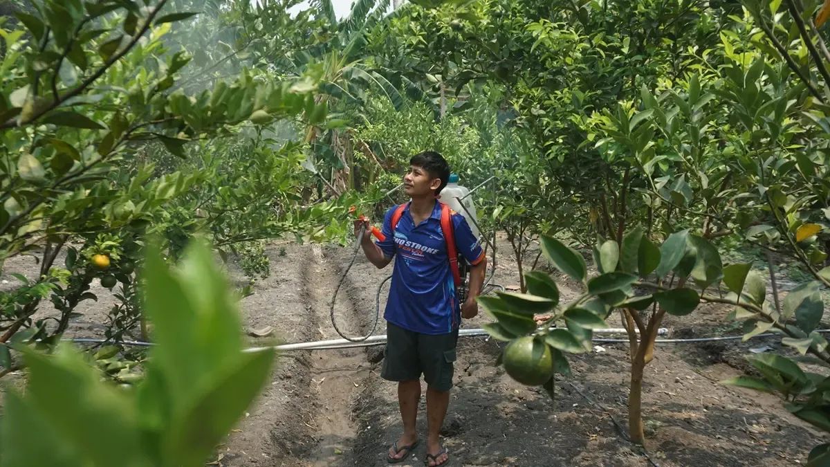 Belajar Melalui Eksplorasi Alam: Saatnya Mengubah Cara Kita Melihat Field Trip