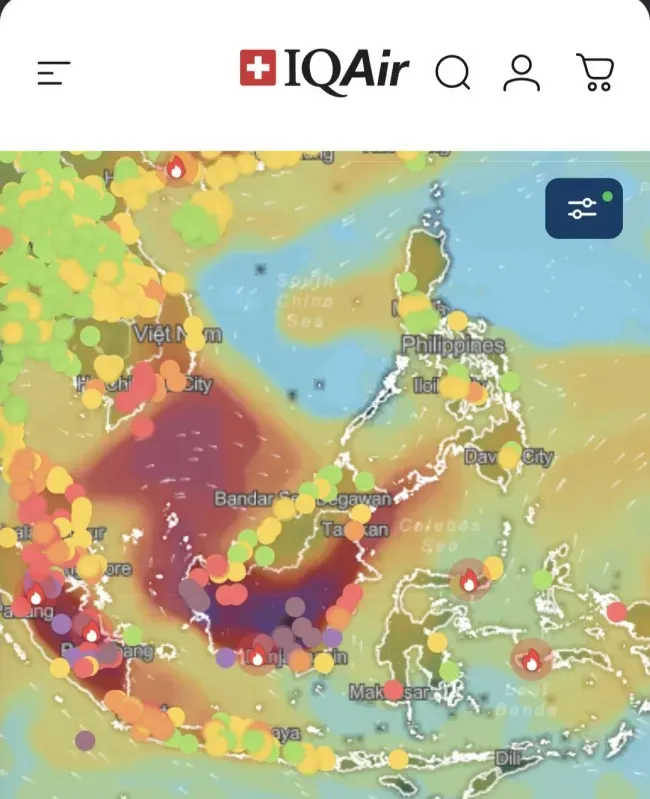 Cara Cek Kualitas Udara Real-Time lewat Smartphone
