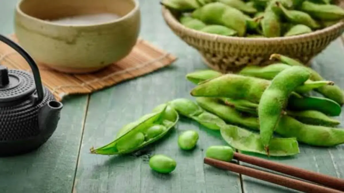 Pilihan Makanan Tinggi Protein untuk Program Cutting: Dari Keju hingga Edamame