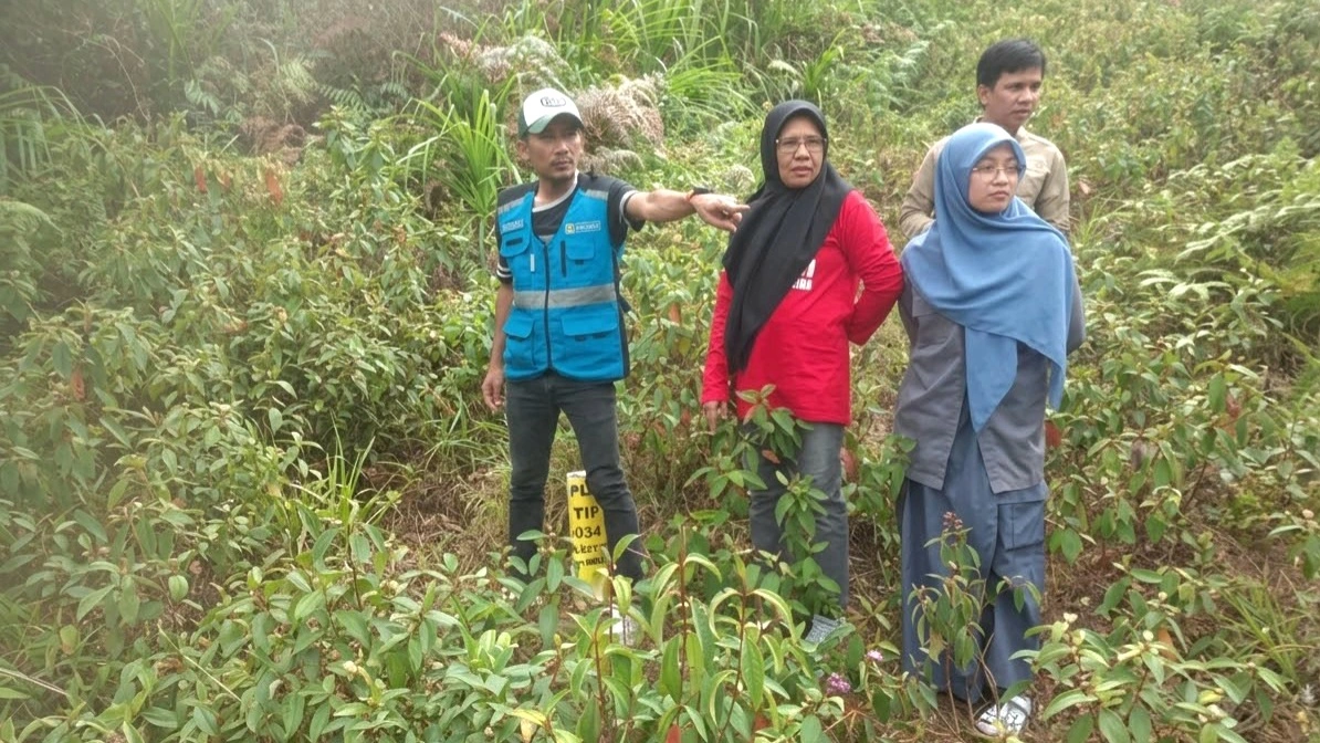 PLN dan BPN Percepat Perizinan SUTET Palopo-Bakaru