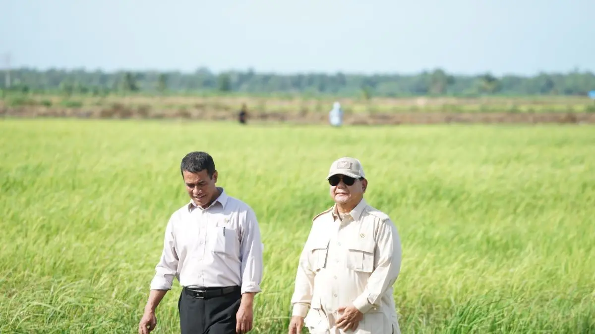 Pemerintah Jamin Stok Beras Aman di Tengah Kekeringan