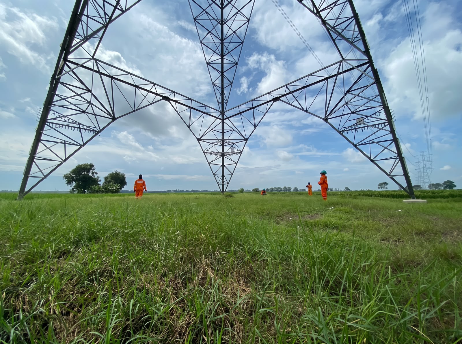 Program Electrifying Agriculture PLN Ubah Pola Tanam di Musim Kemarau