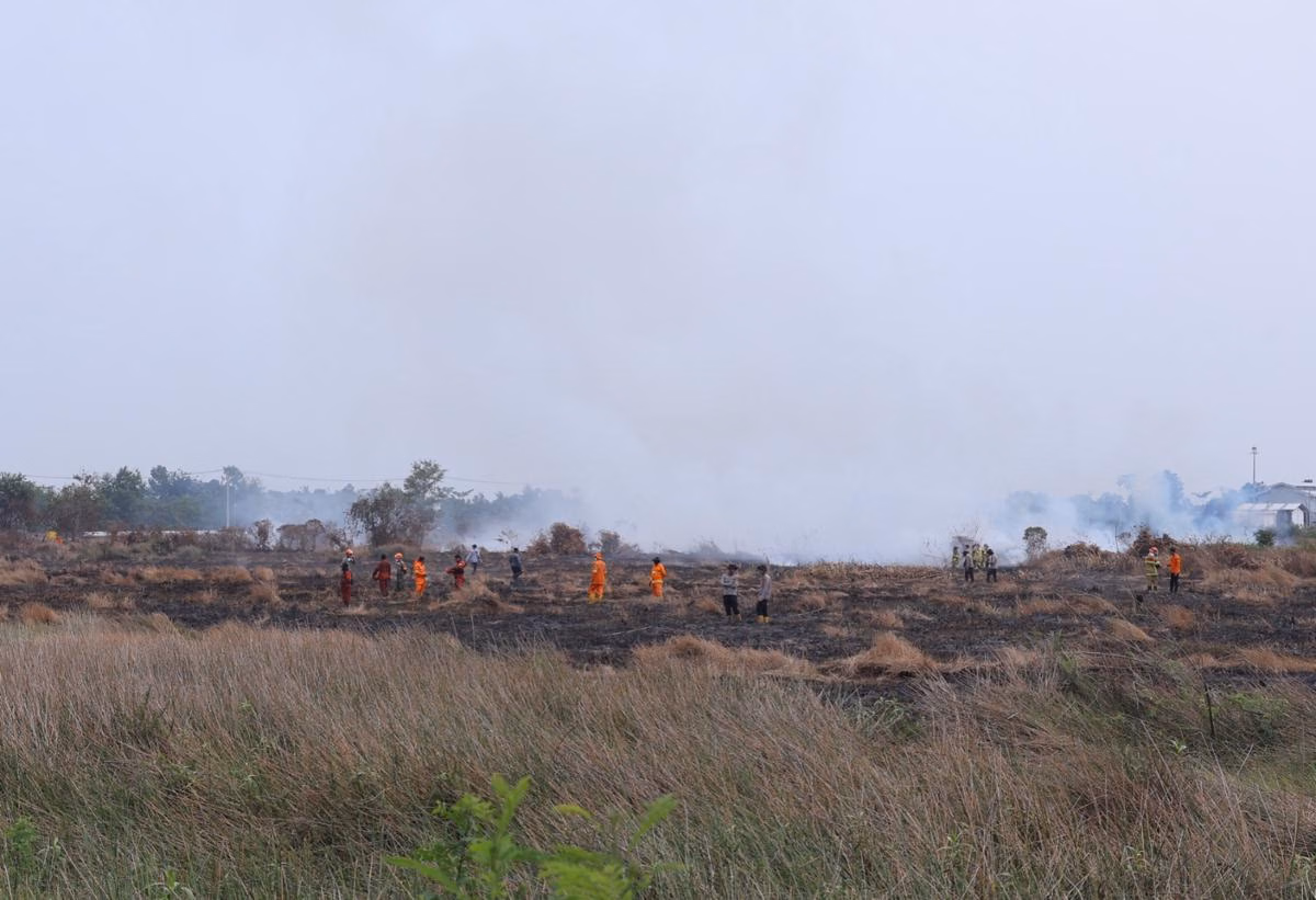 Kebakaran Hutan Sumsel Memuncak: Darurat Ekologi dan Ancaman Kesehatan